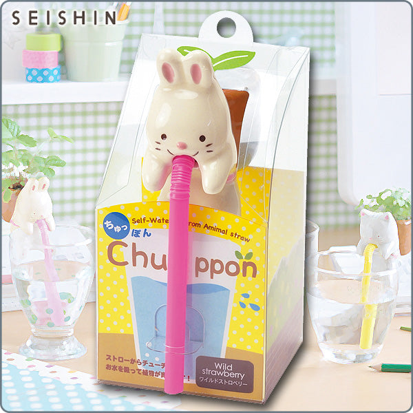 Chuppon 小動物種植套裝|日本製造