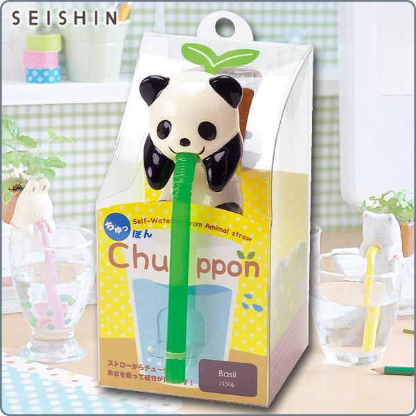 Chuppon 小動物種植套裝|日本製造