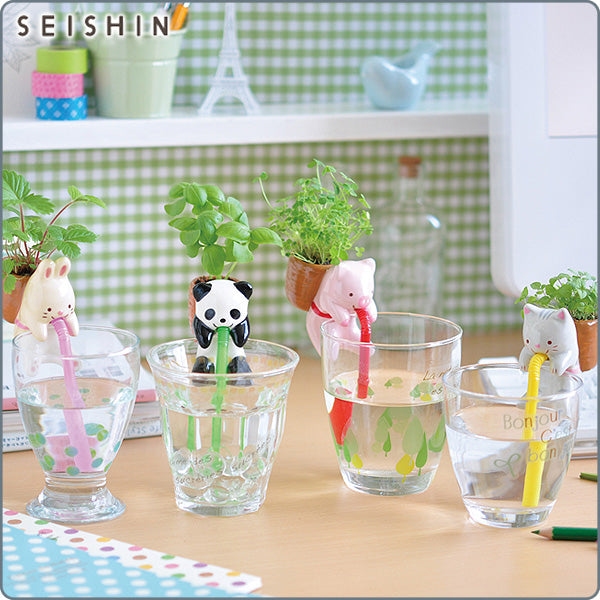 Chuppon 小動物種植套裝|日本製造