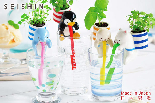 Chuppon 海洋生物種植套裝|日本製造