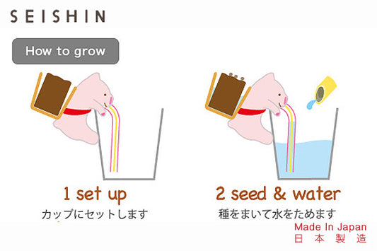 Chuppon 海洋生物種植套裝|日本製造