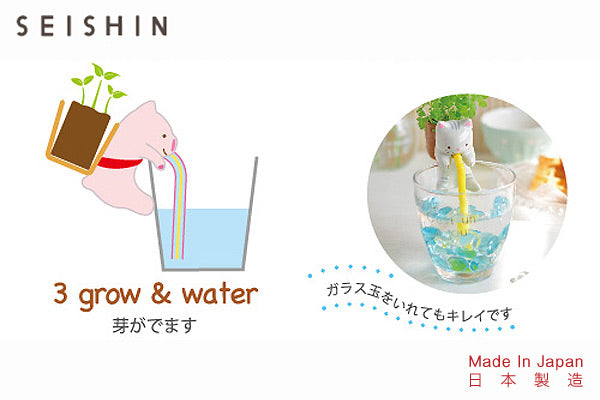 Chuppon 海洋生物種植套裝|日本製造
