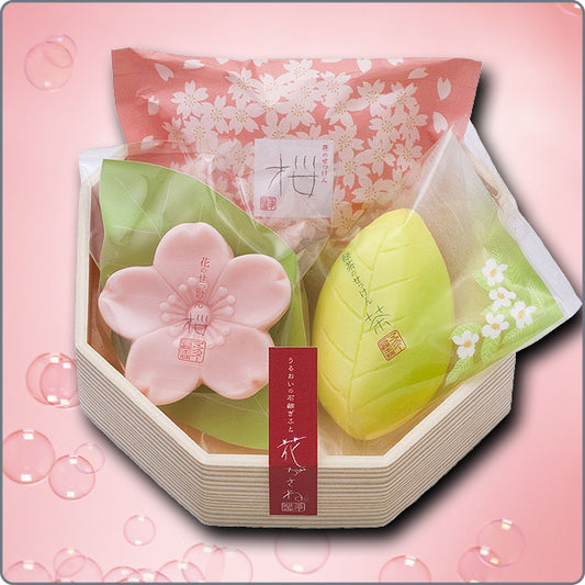 櫻花香皂套裝｜日本製造