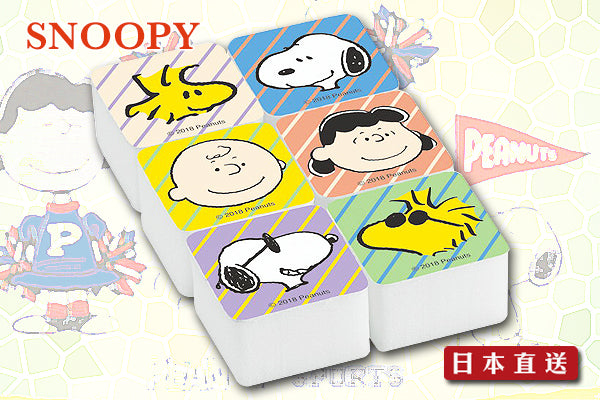 Snoopy 可愛小粒百潔布 (6枚入)